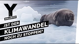 Noch zu stoppen So wirkt sich der Klimawandel schon jetzt aus [upl. by Harlen]