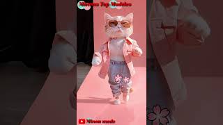 Minous Top Modèles 22 chat cats cartoon love memes cat shortvideo catlover cat catfashion [upl. by Nnalorac]