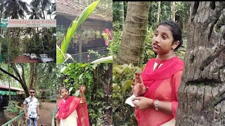 Sahakari spice Farm Goa Best tourist place in Goa ponda spice plantation [upl. by Elisha]