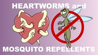 Heartworm Prevention with Mosquito Repellents  Plain and Simple [upl. by Marcy639]