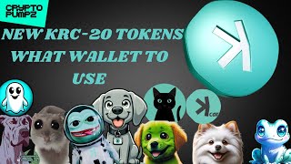 🔥KASPA KRC20 HOW TO BUY AND STORE amp NEW TOKENS READY FOR RELEASE🔥 [upl. by Hammerskjold]