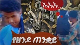 እጅግ አስፈሪና ፕራንክ description ላይ ባለው link ያግኙtiktokethiopia comedy funnydonkey wholeness prank [upl. by Leafar]