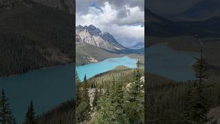 Peyto Lake Icefields Parkway Banff National Park 🤌🍂🤍 peytolake icefieldsparkway banff [upl. by Tufts641]