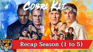 Cobra Kai Season 1  5 Explained In Hindi Everything you need to know before Cobra Kai Season 6 [upl. by Hadwin778]