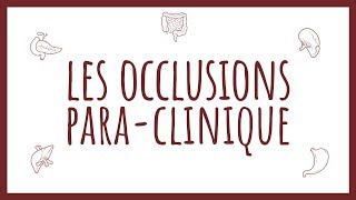 Sémiologie Chirurgicale  Diagnostic ParaClinique des Occlusions [upl. by Amalie540]