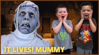 Distortions Unlimited Frightronic It Lives Mummy  Unbox Setup Halloween Animatronic  Mummy Prop [upl. by Cassiani]