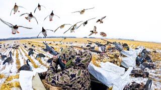 FIRST SNOW STORM DUCK HUNT 10 MAN LIMIT [upl. by Ecienal]