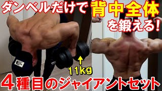 【筋トレ】11㎏のダンベルで背中がパンパンに！4種目のジャイアントセットで広背筋、僧帽筋、大円筋を追い込みました [upl. by Acinor]