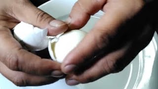 egg boiledegg satisfying asmrsounds asmrvideo [upl. by Brina]