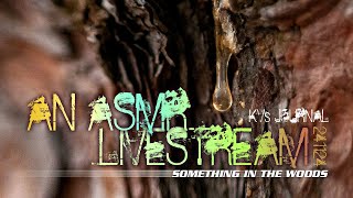 LIVE ASMR Livestream Something In The Woods [upl. by Ahsemit]