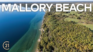 115 Mallory Beach Road South Bruce Peninsula  Ashley Gervais REALTOR® waterfront homesforsale [upl. by Corell]