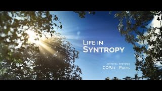 Life in Syntropy [upl. by Karolina]