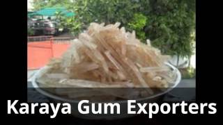 KARAYA GUM EXPORTERS [upl. by Hunley]