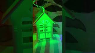 Lighting House  Wall LED lighting House 🏠Diwali decoration lighting [upl. by Ayyidas]