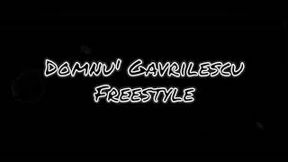 Domnu Gavrilescu  Freestyle [upl. by Adnof]