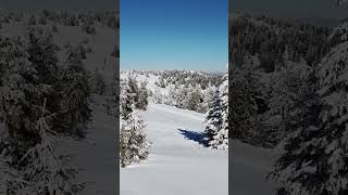 The winter forest  Kopaonik Ski Resort [upl. by Ais]