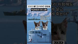 2002 월드컵 잊혀진 영웅들 연평해전 월드컵 영웅 [upl. by Ury]