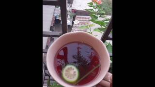 Beetroot tea beetrooteaforyou healthylifestyle [upl. by Anirtik577]