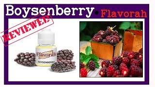 BoysenBerry  Flavorah Review Solo Ratios  NotesBerry Booster FLV diy [upl. by Reivaj]