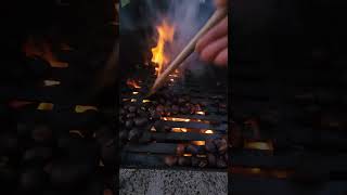 Roasting Chestnuts on an Open Fire  A Cozy Autumn Treat [upl. by Jarus]