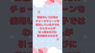 【犬の豆知識】首輪やチョークチェーンて…【あどらぶるどっぐ】shorts犬犬のいる暮らし犬の豆知識あどらぶるどっぐ [upl. by Otsuaf507]