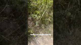 Fiveyearold adventures 🐍 travel adventures hiking [upl. by Warfield]