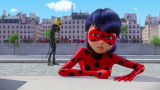 Miraculous  Ladybug cat Noir Moments  Reverser [upl. by Wendelina]