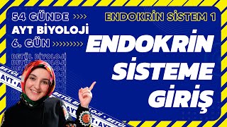 6 Endokrin Sisteme Giriş  Endokrin Sistem  11 Sınıf Biyoloji  2024 AYT Biyoloji Kampı 6 Gün [upl. by Irisa129]