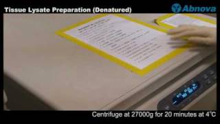 Tissue Lysate Preparation Denatured [upl. by Chaworth49]