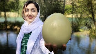 ostrich egg omelette  ostrich egg omelette asmr [upl. by Asum61]