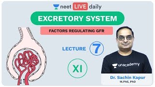 Excretory System  Lecture 7  Unacademy NEET  LIVE DAILY  NEET Biology  Dr Sachin Kapur [upl. by Eldwon]