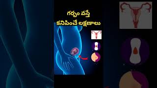 గర్భం వస్తె కనిపించే లక్షణాలు  Early pregnancy symptoms [upl. by Ykroc]