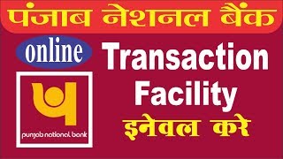 Hindi Online Enable Transaction Facility in Punjab National Bank [upl. by Irak32]