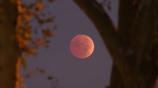 Blood Moon Eclipse See the Most Incredible Photos From Around the World [upl. by Enigroeg331]