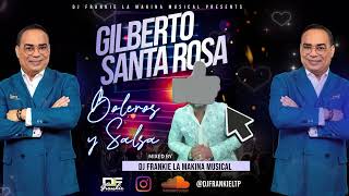 Gilberto Santa Rosa Boleros amp Salsa Mix Dj Frankie La Makina Musical 2024 [upl. by Toll]