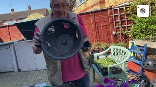 HOW TO FILL AN EASY FILL HANGING BASKET AND HOPEFULLY GET A STUNNING DISPLAY [upl. by Poole]