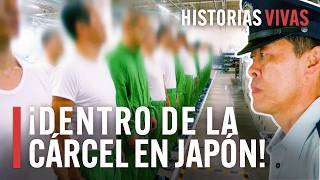 La cárcel en Japón el sistema penitenciario más estricto del mundo  Documental HD [upl. by Ciaphus]