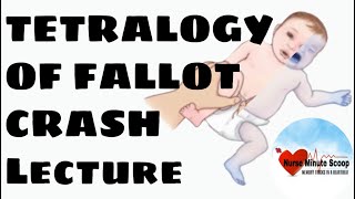 TETRALOGY OF FALLOT crash course NCLEX made easy 🫀🫀🫀 [upl. by Flyn]