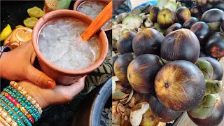 Nungu  ice  apple  nannari sarbath Recipe foodzeee [upl. by Meece]