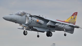 RIAT 2019 Sunday Show  Full Highlights [upl. by Florinda399]