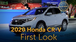 2020 Honda CRV  First Look [upl. by Maon]