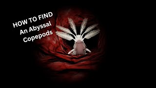 HOW TO FIND An Abyssal Copepods [upl. by Granlund]