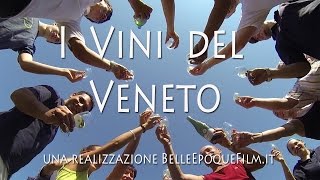 I Vini del Veneto [upl. by Edan]