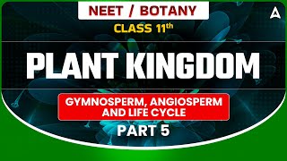 𝐏𝐋𝐀𝐍𝐓 𝐊𝐈𝐍𝐆𝐃𝐎𝐌 𝐂𝐋𝐀𝐒𝐒 𝟏𝟏  BOTANY GYMNOSPERM ANGIOSPERM AND LIFE CYCLE  NEET SANJEEVANI BATCH [upl. by Mosier]