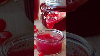 Easy Red Currant Jelly Expert Recipe Guide redcurrantjellyrecipe shorts [upl. by Linn195]