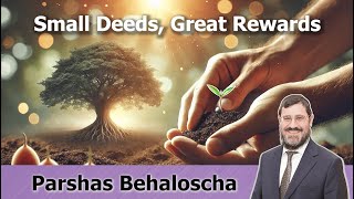 🗣 Rabbi Avi Wiesenfeld 📜 Behaloscha 🚀 Small Deeds Great Rewards [upl. by Almena]