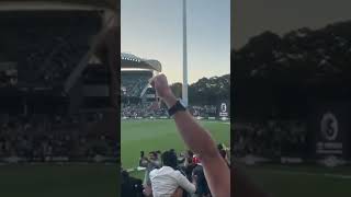 Australia vs Pakistan adelaide australia cricketlover amazing youtubeshorts [upl. by Nichani764]