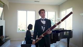 Vivaldi Bassoon Concerto in E Minor RV 484 Movement 1 [upl. by Milde514]