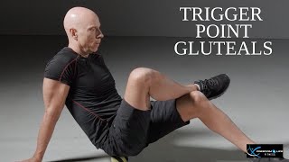 Trigger Point Gluteals  An excellent tool for helping low back pain [upl. by Shea]