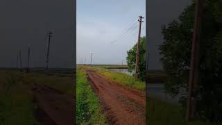 Evening at Shrimp Farm vlogs fishing seafood fish viralvideo nature shrimp love farming [upl. by Fuchs]